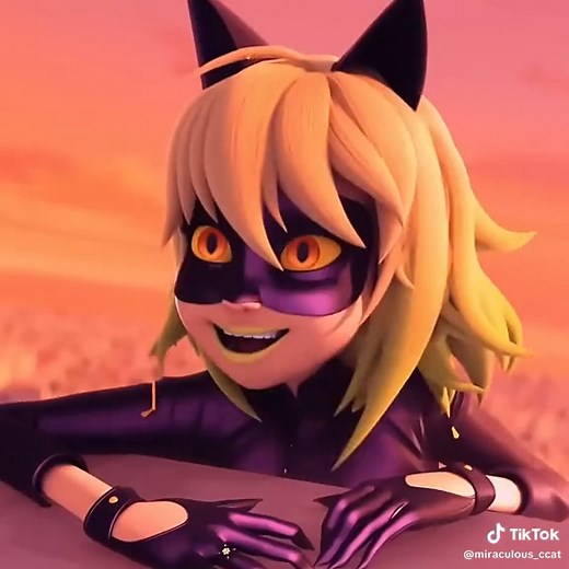 Epic Cat Noir vs. Hawk Moth Battle in Miraculous