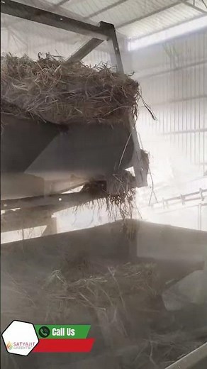 How to Make Pellets from Paddy Straw | Full Process & Machinery #pelletmachine #biomasspelletmachine