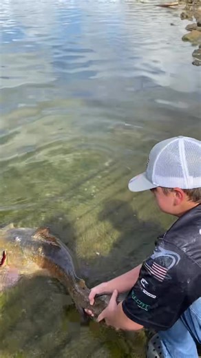 JT(Catfish Kid) Catch The Fever Minotaur Hooks Team Keatts Fishing Regular Dude Outdoors Carolina Lake Weights | Tommy Ruffin