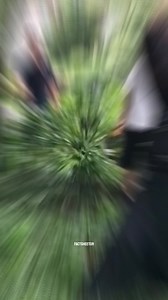 158K views · 1.8K reactions | Japanese Long Sword Odachi | FactSheetor | Facebook