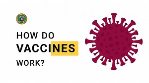 Epektibo ba ang bakuna? Bakit may side effects? Ano ba ang bakuna? Panoorin ang video na ito mula sa Department of Health para malaman kung papaano gumagana ang bakuna sa ating katawan at kung papaano tayo tutulungan ng bakuna na makaiwas sa COVID-19 at sa mga malalang epekto nito. Tandaan, sa #4PsMAGPABAKUNA, Mahalagang Alamin, Gampanan, at Pahalagahan Ang BAKUNA laban sa COVID-19. Para sa PAGNINILAY natin mula sa panonood ng video na ito, subukan nating sagutan ang mga sumusunod na tanong: • A