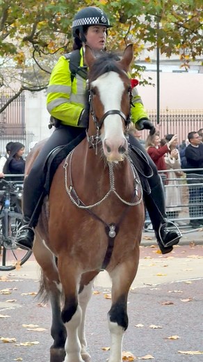 Police officer tells other police officer move your bike the guards are coming #police #horse #buckinghampalace #wellingtonbarracks #bike | Marks London reels