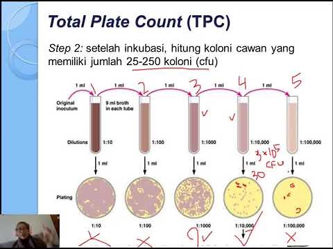 Praktikum Bioproses Perhitungan Mikroba