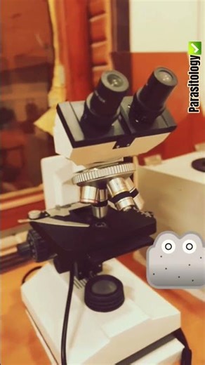 🥼🔬❤What kind of laboratory experience do you have🤔🔬🥼🧪👍Parasitology👍📚🔬✅