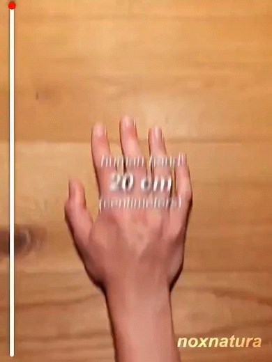 Dive into the mesmerizing world of science with our size comparison of cells, molecules, and atoms! 🔬 Watch as we zoom in from the vastness of cells to the intricate world of molecules, and finally to the minuscule realm of atoms. Prepare to be amazed by the incredible scale of life's building blocks. (Source: noxnatura) #ScienceExploration #CellularWorld #TinyButMighty #histology #biology #pathology #MedicalJourney #medicine #medlife #doctor #doctordconline #nhs #nurse #nursing #hospital #usml