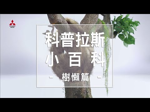 201706 NEW COLT PLUS 樹懶篇 37秒