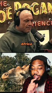12K views · 117 reactions | Joe Rogan on Intelligent Trees | Nova November (EME) | Facebook