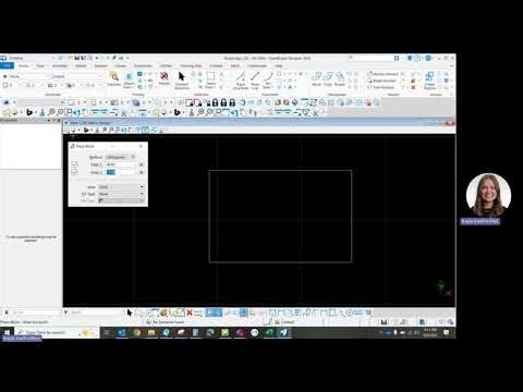 Module 3 – AASHTO Bridge Challenge: Create a border