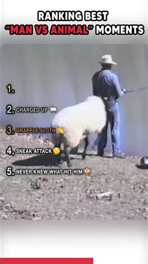 Ranking Best "Man Vs Animal" Moments