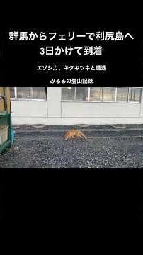 フェリーで利尻島へ【登山遠征】