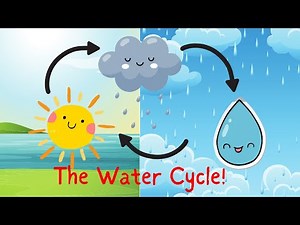 The Water Cycle for Kids 🌧️ | Fun Science Learning with Elementary Explorers!