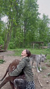 145K views · 5.4K reactions |  I really wanted to trim this footage...