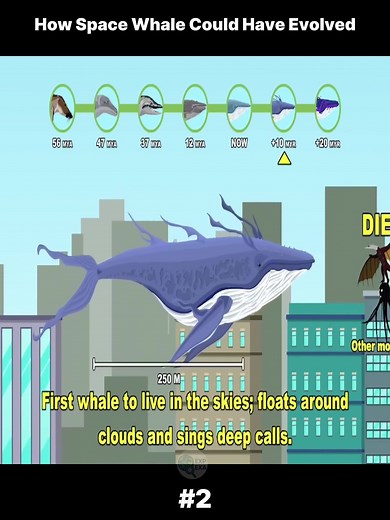 Exploring the Evolution of Space Whales