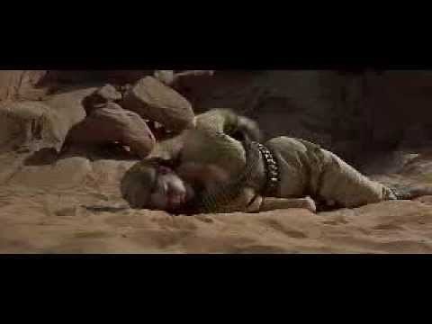 The Professionals 1966