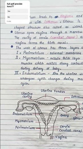 How Human Reproduction REALLY Works(full notes)☝️ comment yes
