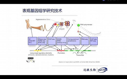 达澈小课堂06-讲解ChIP-seq和CUT&Tag原理和应用