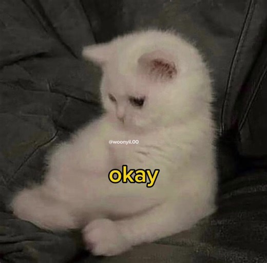 Funny Voice Acting with Cute Cats