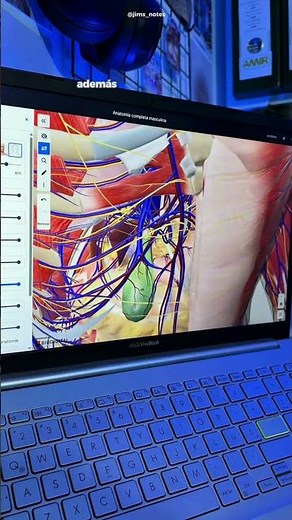 💻🔬 Biodigital: La forma más fácil y visual de estudiar Anatomía