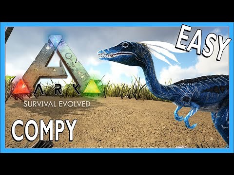 How To Tame A Compy In Ark Survival Evolved