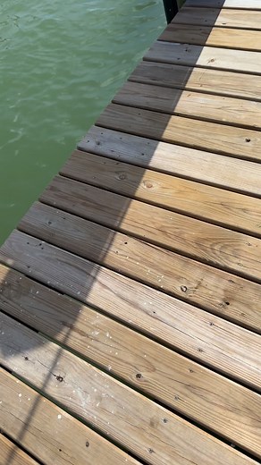 3.6K views · 7 comments | Can you Caption this? What is going on? #marcoisland #florida #beach #outdoors #beachlife #saltlife #jetski #fishing #omg #crash #boat #naples | Marco Island Sharks | Facebook