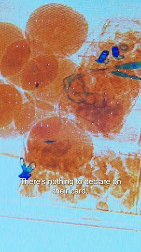 Major biosecurity risk with insect eaten peaches🍑 #bordersecurity #reels2024 | Border Security