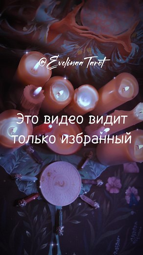 Evelinaa Tarot on TikTok