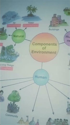 components of environment #shorts #techskills
