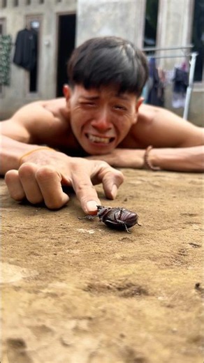 Tears welled up seeing this beetle on its back, It should've been sleeping under the ground