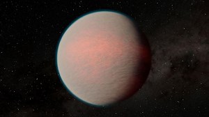 It Looks Like All Mini-Neptunes Aren't Magma Oceans After All