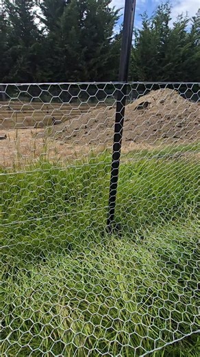 Jim’s Bunny Hunters LTD | That Friday feeling on a Wednesday. 😭😂 #nzferreter #nzrabbiter #jimsbunnyhunters #fencing #rabbitfence #knippex | Instagram