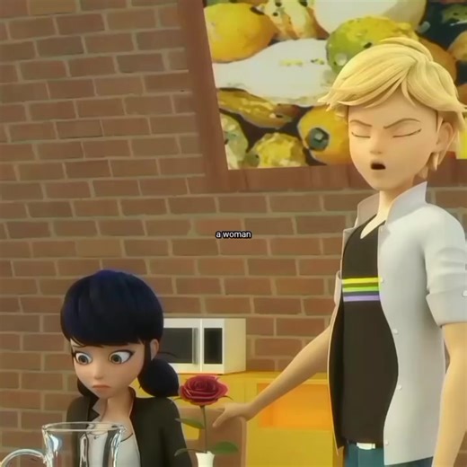 Miraculous Ladybug & Cat Noir Characters