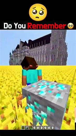 Do you remember this minecraft picture