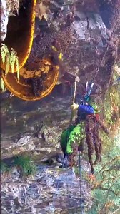 Video on how to remove bees . . . #beekeeping #amazing #life #lifestyle #bees #travel #love #beekeeper #bee #photooftheday #photography #fypシ゚ #instagood #reelsviralシ #honey #beekeepers #reelsfypシ #beautiful #beesofinstagram #picoftheday #nature #fashion #beeswax #happy #style #honeybees #savethebees #instadaily #honeybee #usa | Searching For Honey