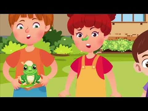 A Frog in my Cheese Sandwich