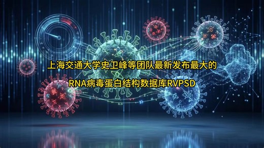 上海交通大学史卫峰等团队最新发布最大的RNA病毒蛋白结构数据库RVPSD