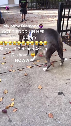 #foryourpage Dis Dat Big Sista Shitt😂when you don got on her nerves 🤷🏾‍♀️😂😂😂😂