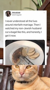 #trend #christmas 🎄#reelsvideoシ #funnyreels #effect #funnycat #catreels | Funny Animals Uk