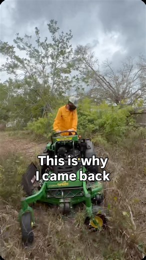 Wait Until You See This Yard Now… #transformation #lawncare #cleanup #asmr #albladez | Al Bladez