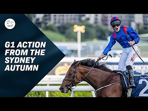 Every Group 1 from Australia's The Championships in 2023 🇦🇺