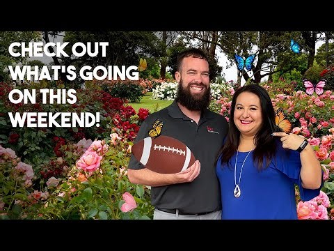 🎉 Weekend Events in Southwest Florida | Sept 12–14 | Live Music, Festivals, Comedy & More!