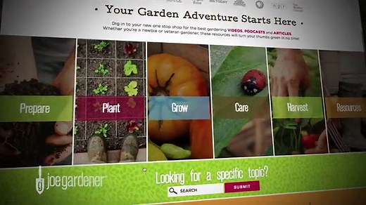 How to Start an Organic Vegetable Garden | joe gardener®