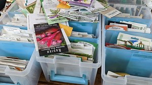 The Best Ways to Organize Your Seed Library