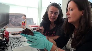 Scientists Discover Oldest Known Human Grave in Africa