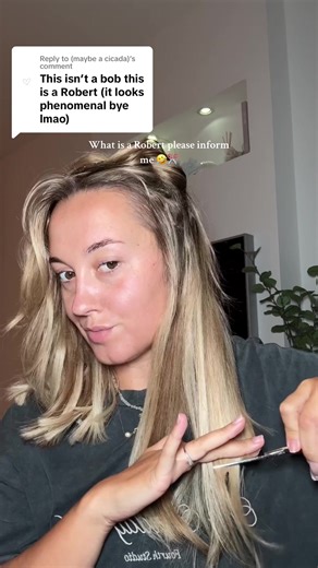 What is a Robert? DIY Haircut Tutorial and Transformation