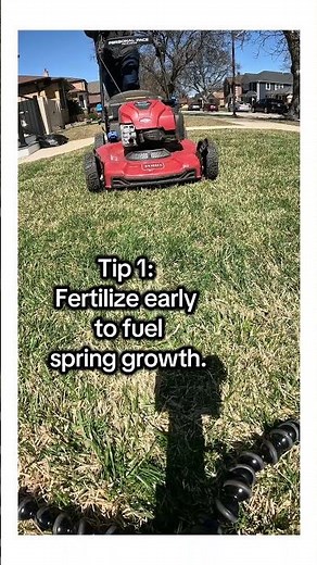 How to Early Fertilization 🌱 – Simple Lawn Care Tips for Homeowners #SpringFertilization #didyouknow