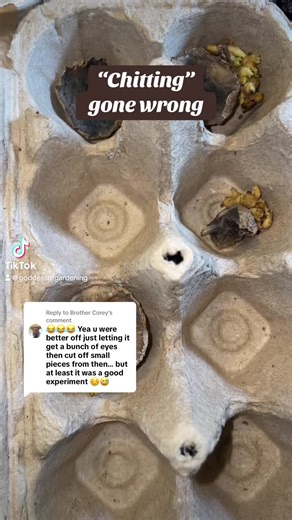 Replying to @Brother Corey