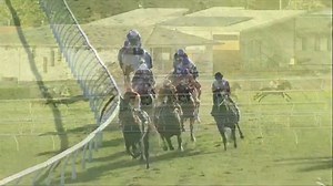 🥇SPACE TRACKER (IRE) 📍Track: Doomben (QLD) 17/7/24 📄Pedigree: g Havana Gold - Never In (by Elusive City) ⏱Trainer: Annabel Neasham (Eagle Farm) 🏇Jockey: Jag Guthmann-Chester #GetOnTrack #allgold | OnTrack