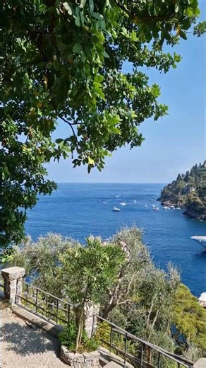 PORTOVENERE - Vibrant Life at the Marina! ⛵️ Colorful Italy! #ItalianVibes