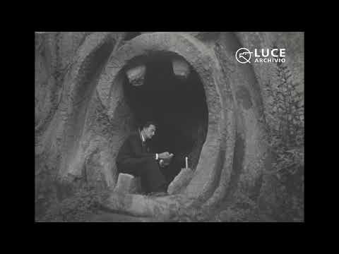 Discover the Mysteries of Italy’s Park of Monsters, a 16th-Century Garden Filled With Strange, Colossal Stone Creatures