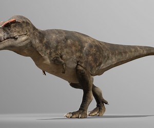 ArtStation - Accurate Tyrannosaurus rex RIG | Game Assets